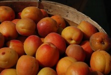 apricots 223x150 apricots