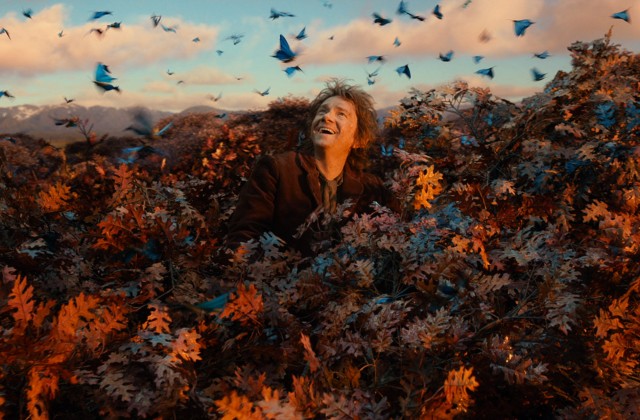 THE HOBBIT: DESOLATION OF SMAUG