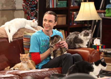 Sheldon and his cats