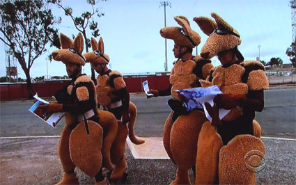 Teams dress up like kangaroos