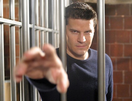 Poll: Will David Boreanaz be remembered as Angel or Booth